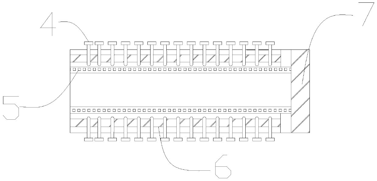 Crayfish processing equipment capable of rapidly limiting and fixing whole crayfish body