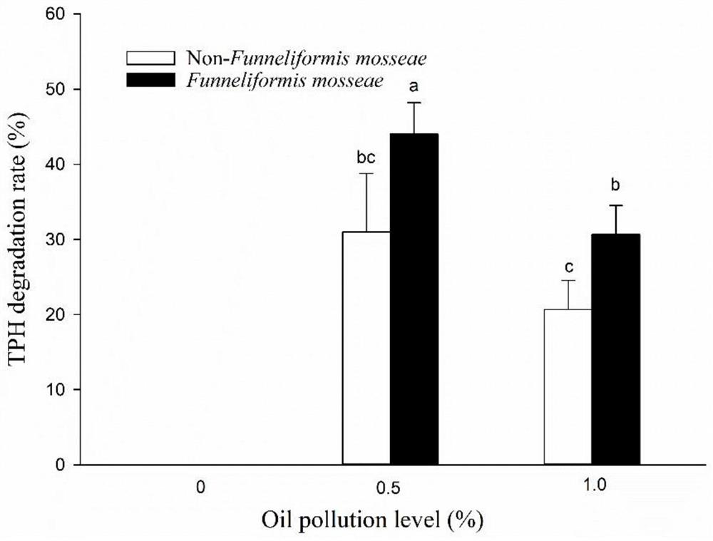 Method for enhancing petroleum-contaminated soil remediation capacity of phytolacca americana