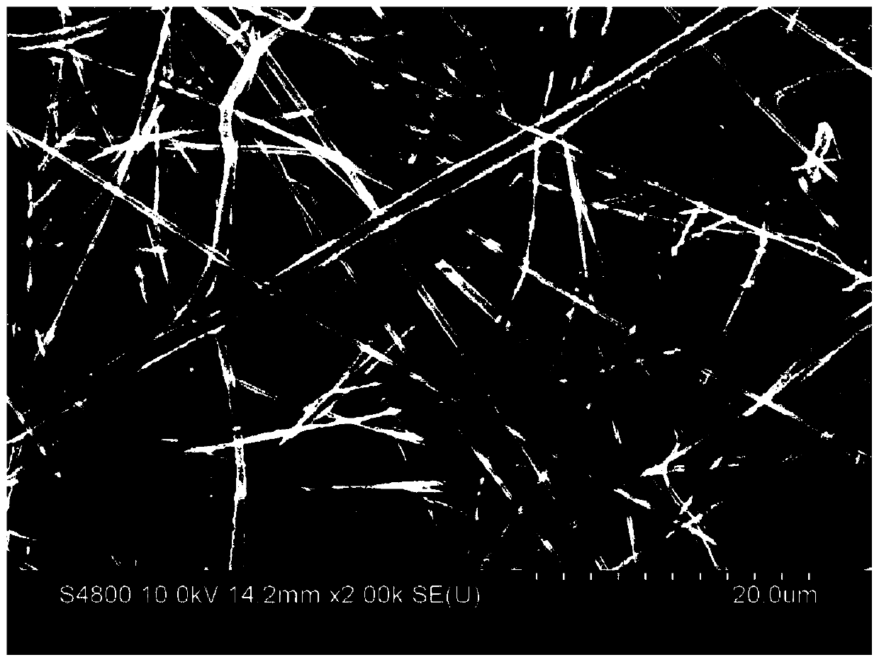 Composite nanofiber pad, hydrogel/sponge dressing, preparation method and application