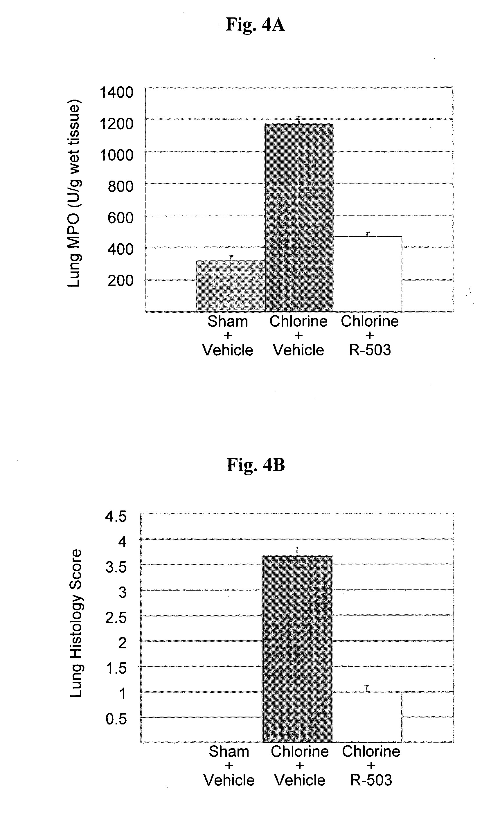 Lipoic acid and nitroxide derivatives and uses thereof