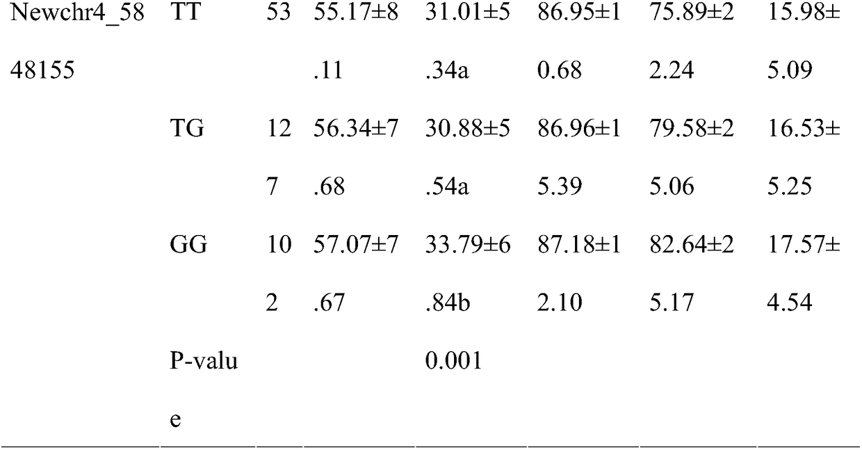 SNP locus relevant to rapid growth of crassostrea gigas