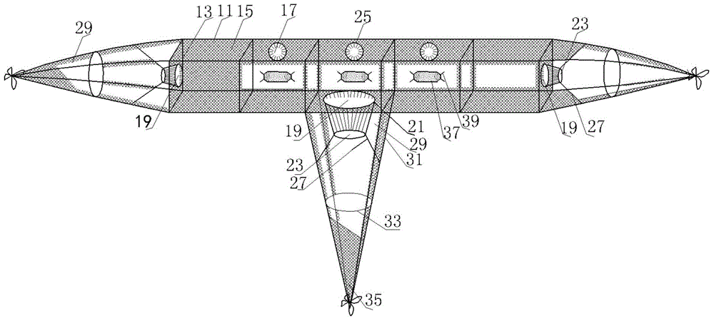 Water reservoir loach catching cage device