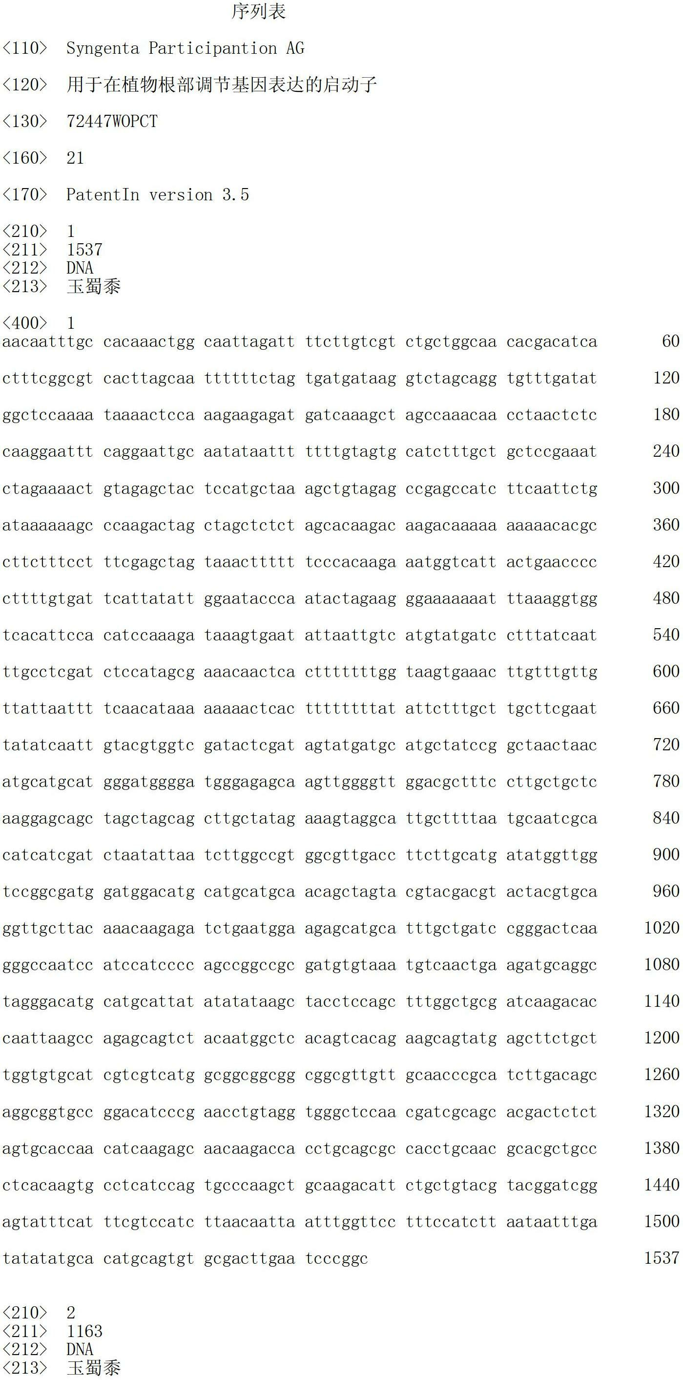 Promoter for regulation of gene expression in plant roots