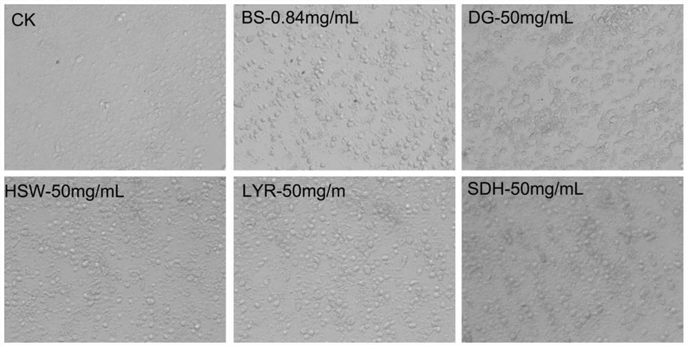 A screening model construction method for promoting immune enhancer of Chinese mitten crab hematopoietic tissue development