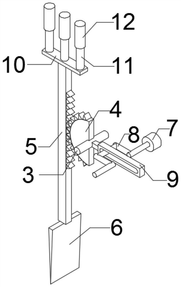 Medical multifunctional pathological sectioning device