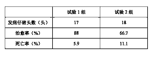 Traditional Chinese medicine composition for preventing piglet dysentery and preparation method thereof