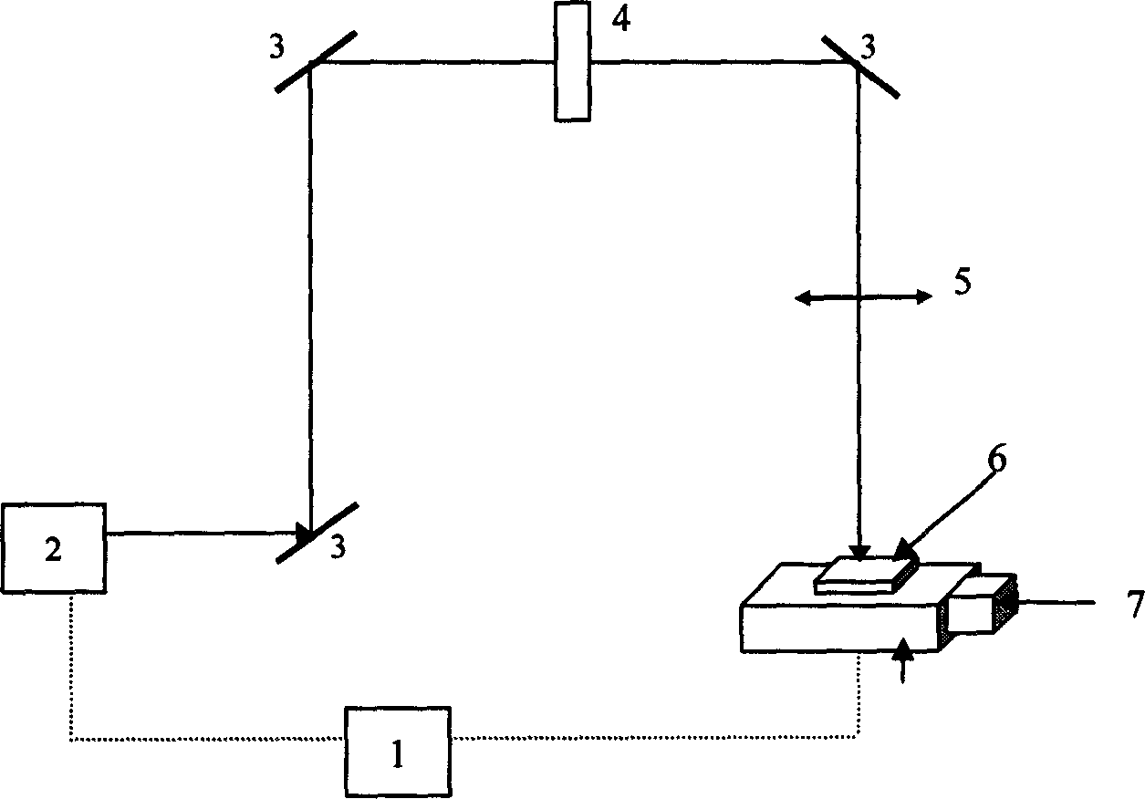 Method and system for preparing high polymer group biochip micro flow path structure adopting quasi molecule laser