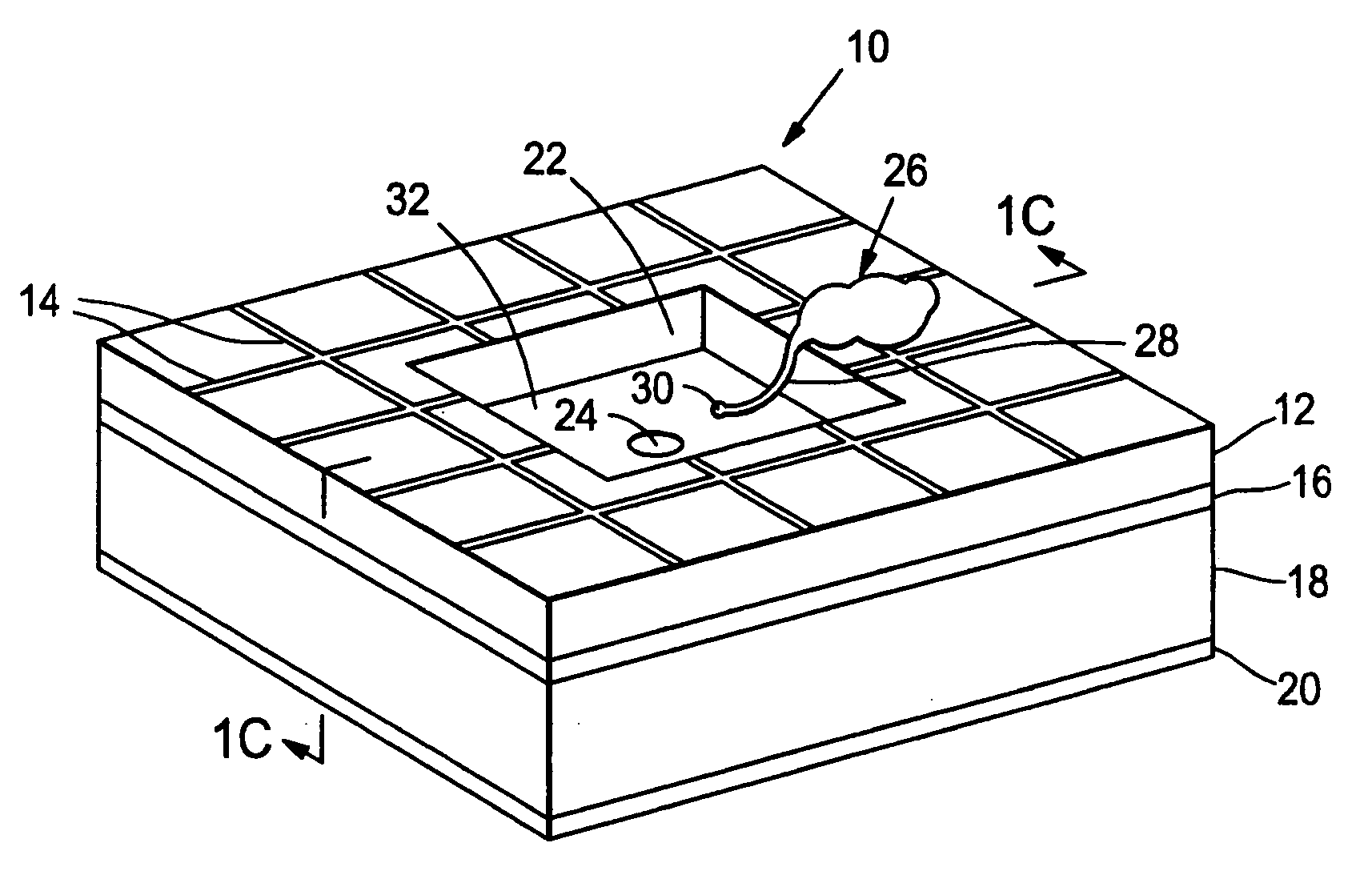 Artificial synapse chip