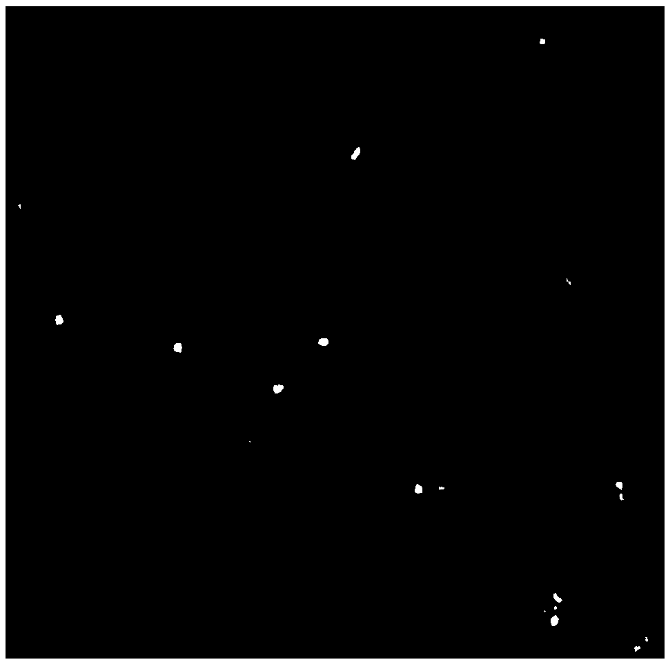 Stem cell cryopreservation liquid and production method thereof