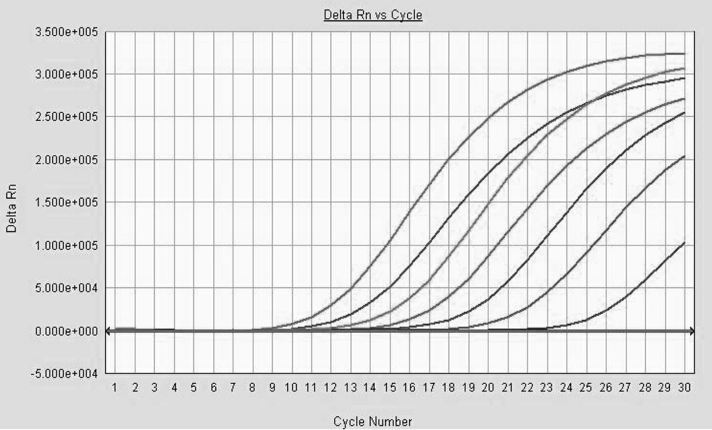 Two-color fluorescence quantitative polymerase chain reaction (PCR) combined detection method of swine fever virus and blue ear disease virus and kit thereof