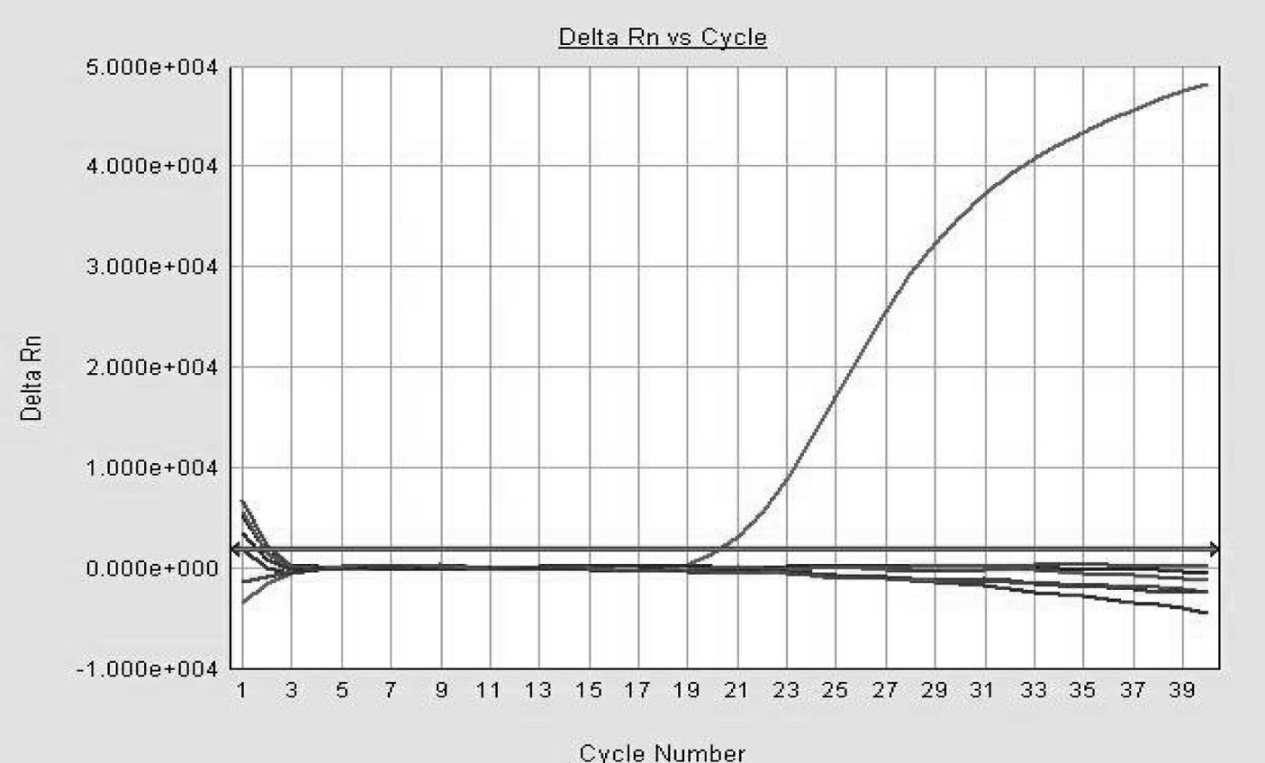 Two-color fluorescence quantitative polymerase chain reaction (PCR) combined detection method of swine fever virus and blue ear disease virus and kit thereof