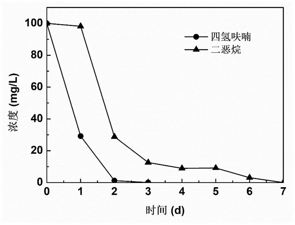 Arthrobacter sp. WN18 and application thereof