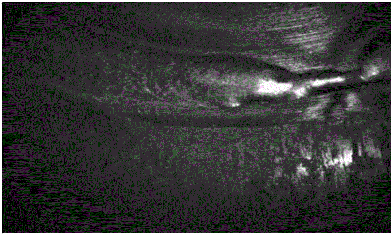 Weld surface defect identification method based on image texture