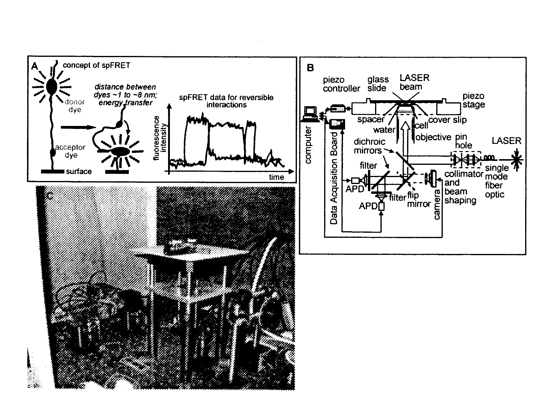 Nucleosome-based biosensor