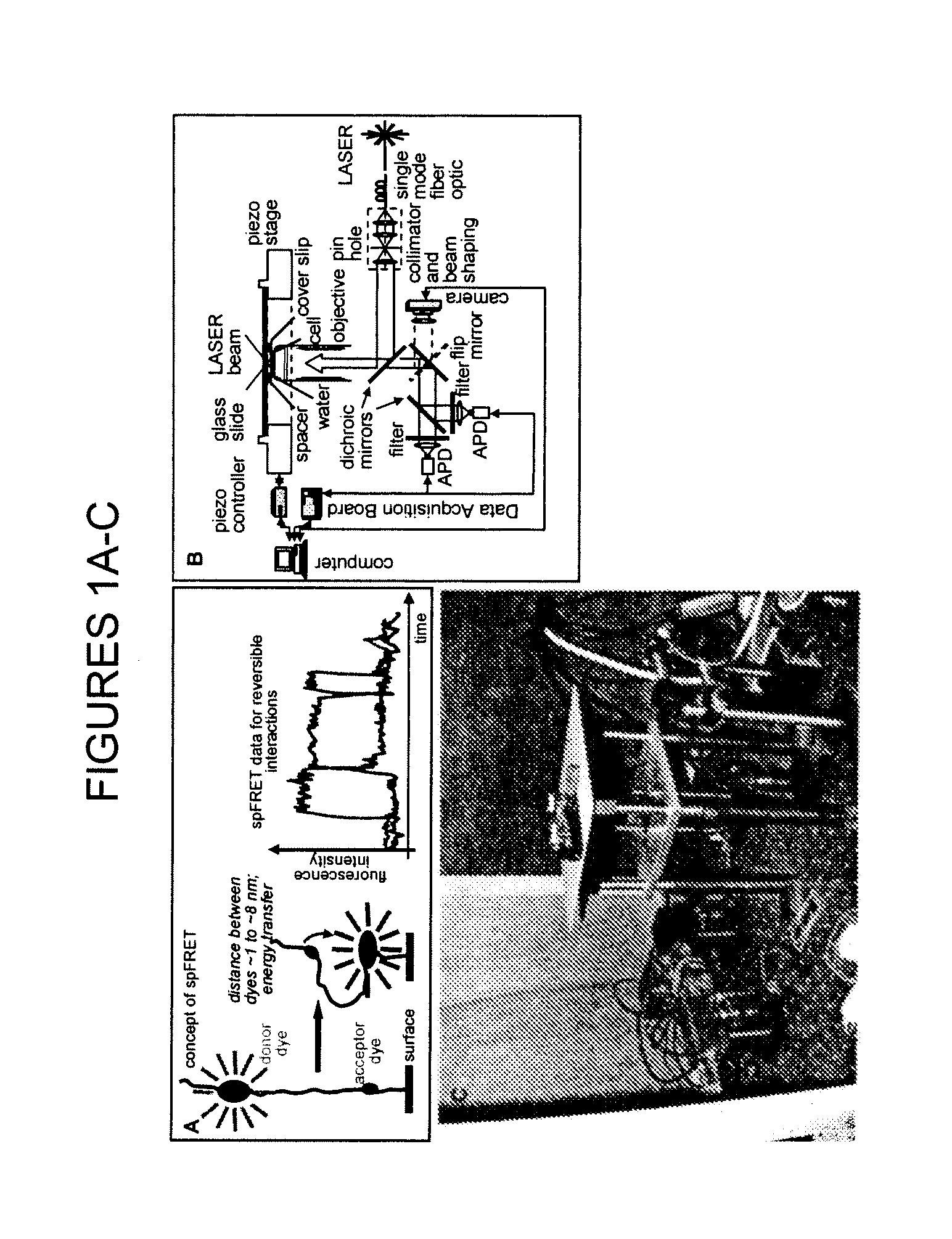 Nucleosome-based biosensor