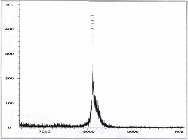 Solid-phase synthesis method of vMIP-II (viral macrophage inflammatory protein-II) protein