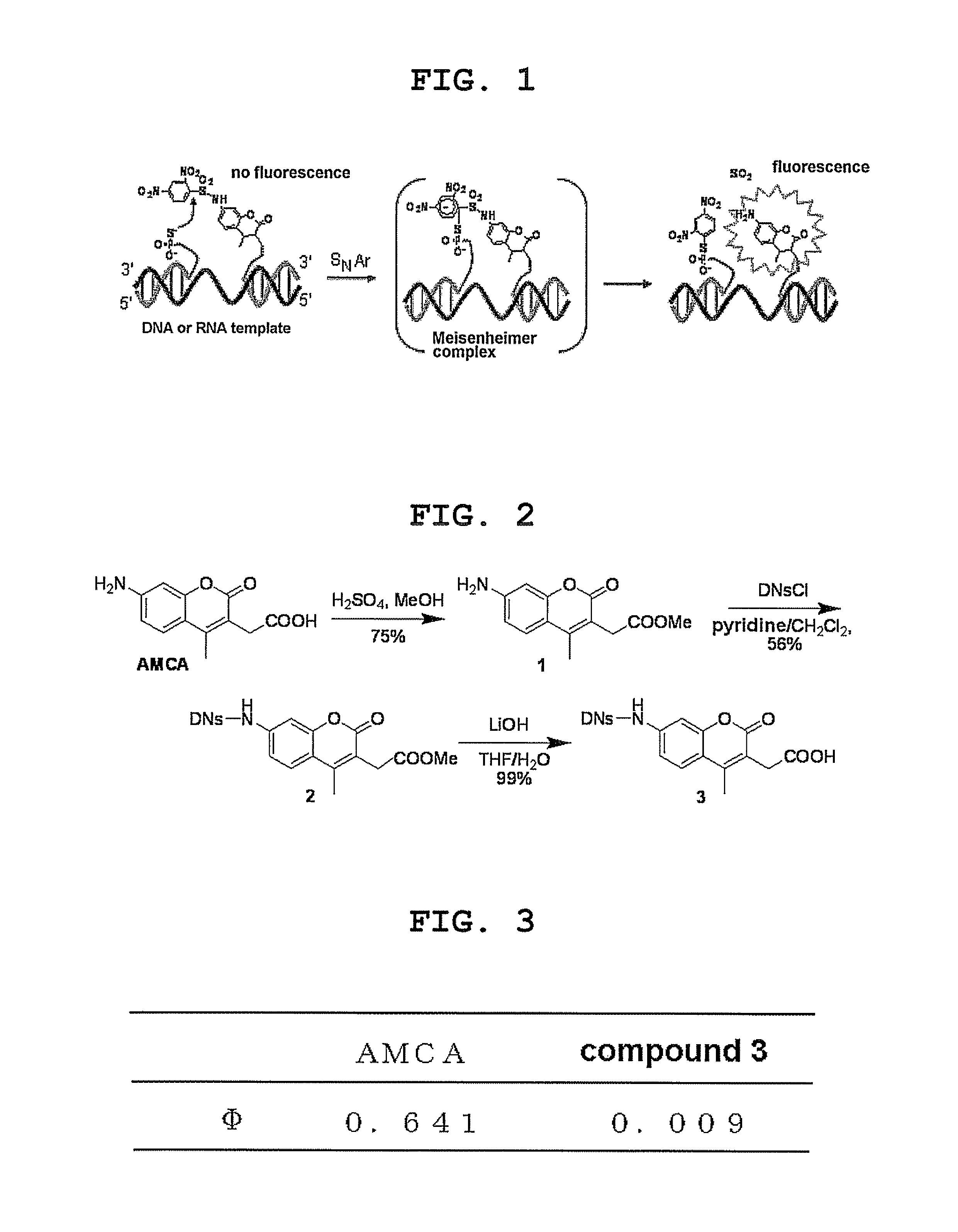 Fluorescent molecule and method for detecting target nucleic acid