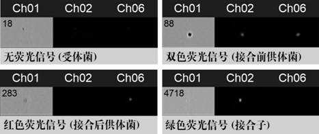 Method for evaluating migration risk of antibiotic drug resistance gene