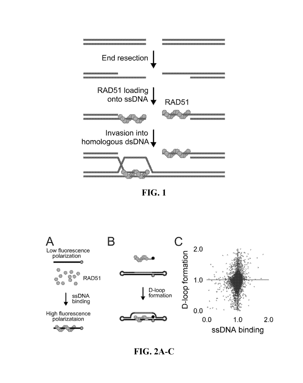 Small molecules inhibitors of rad51