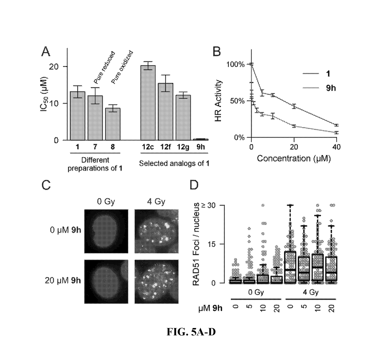 Small molecules inhibitors of rad51