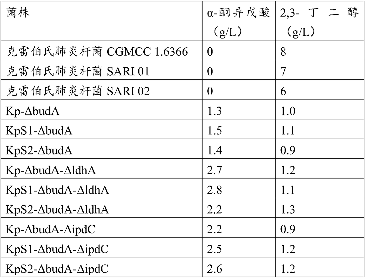 Method for improving alpha-ketoisovaleric acid yield of Klebsiella pneumoniae, and modified strain