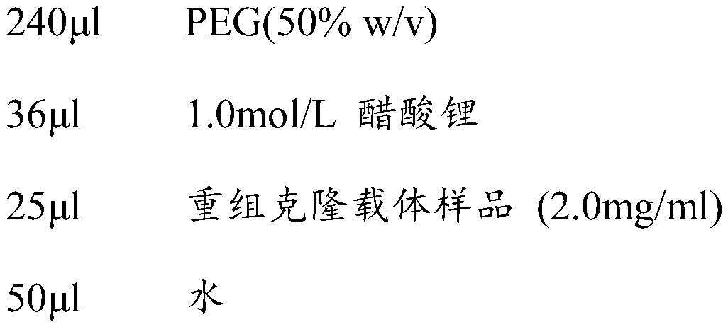 Detection method for hypoglycemic function of marine hypoglycemic health food