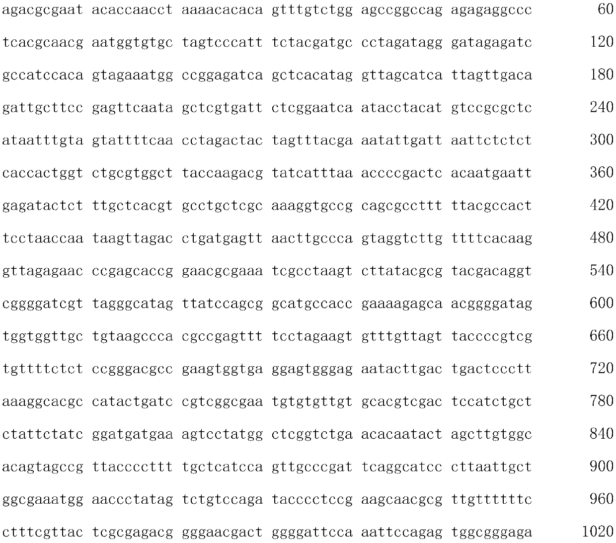 Detection method for hypoglycemic function of marine hypoglycemic health food