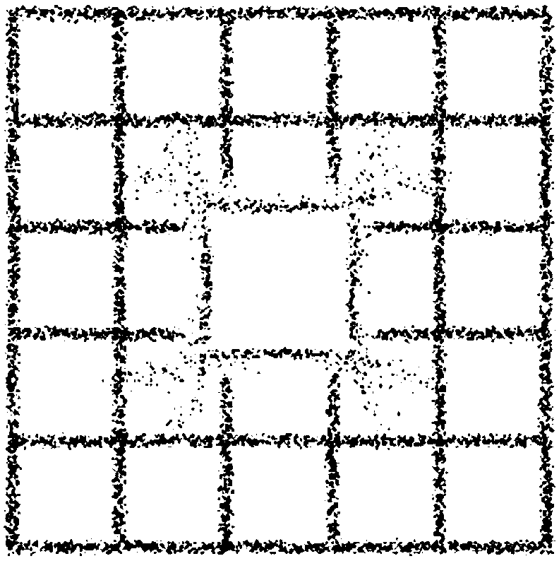 Dynamic local amplification high resolution imaging system