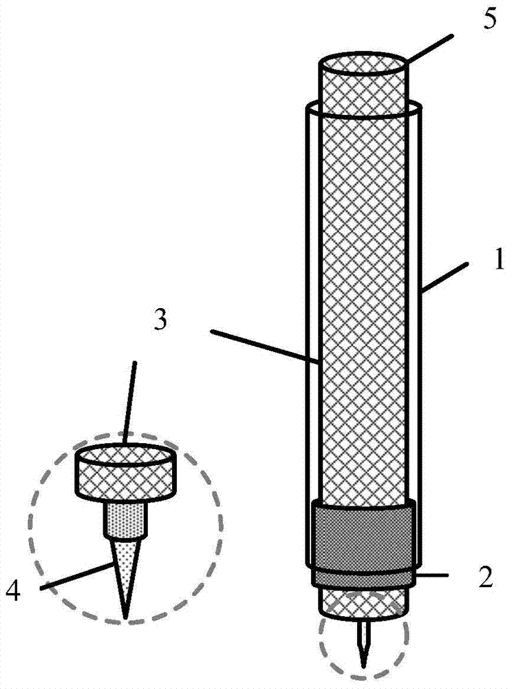 Optical fiber microsensor and detection system for in situ determination of biofilm density distribution