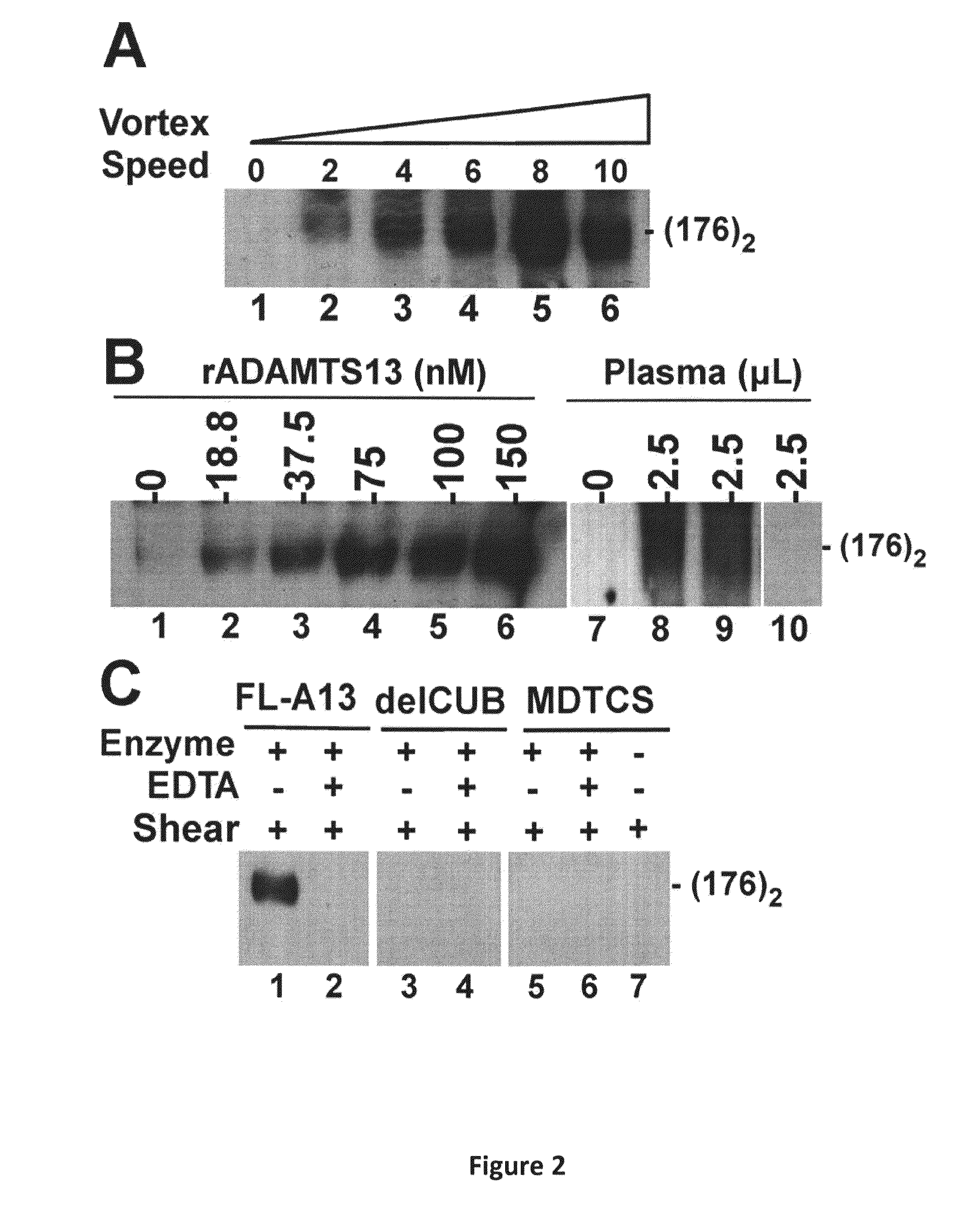 Compositions and Methods for Modulation of ADAMTS13 Activity