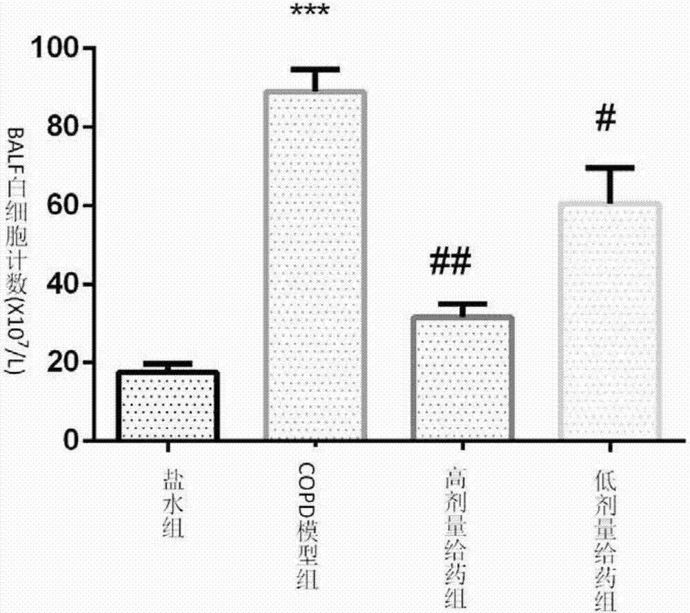 Application of euphorbia jolkini lactone B derivative in drug for treating chronic obstructive pulmonary disease