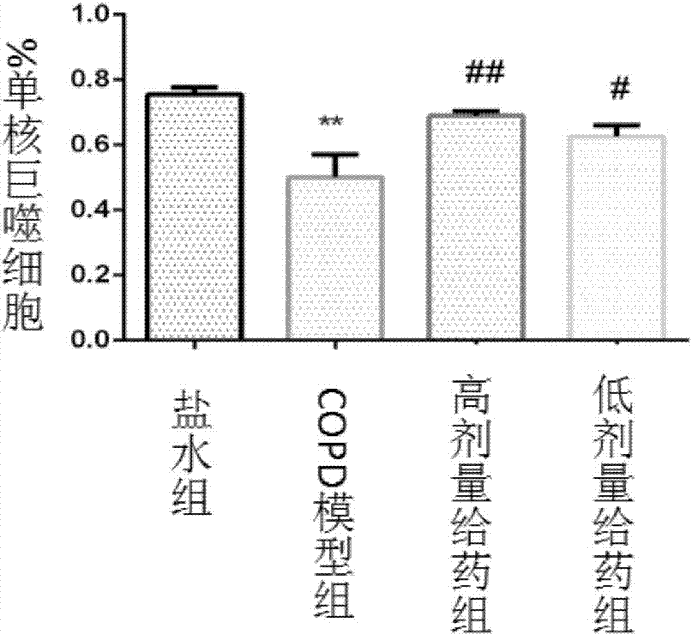 Application of euphorbia jolkini lactone B derivative in drug for treating chronic obstructive pulmonary disease