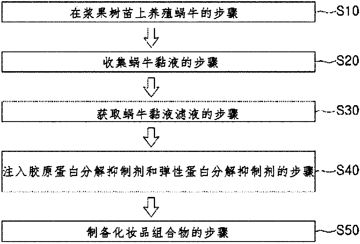 Cosmetic composition comprising slime of snail fed with berry fruits and preparation method thereof