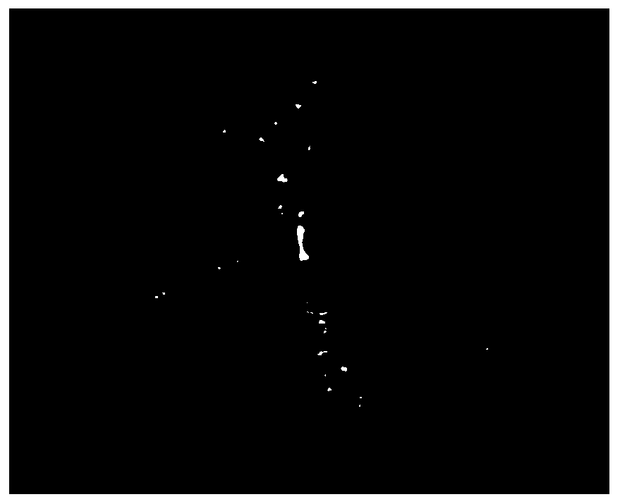 Tissue culture method for one-step seed formation by using Jingzhou pinellia ternate tissue-culture cluster seedlings