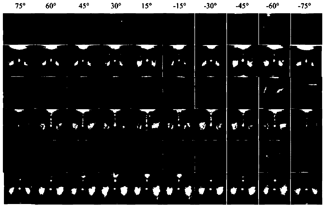 Contour symmetry constraint generative adversarial network-based multi-pose face recognition method