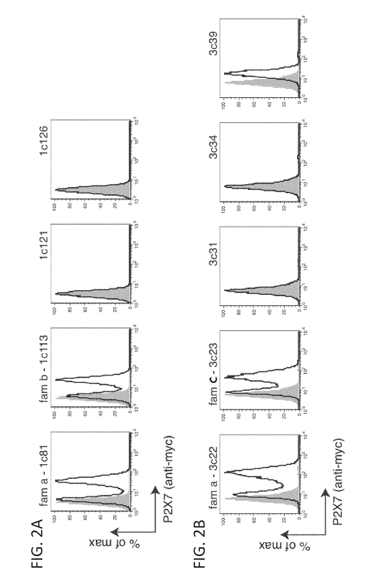 P2X7 receptor antagonists and agonists