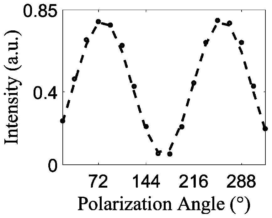 Rapid modulation fluorescence polarization microscopic imaging device and method based on liquid crystal