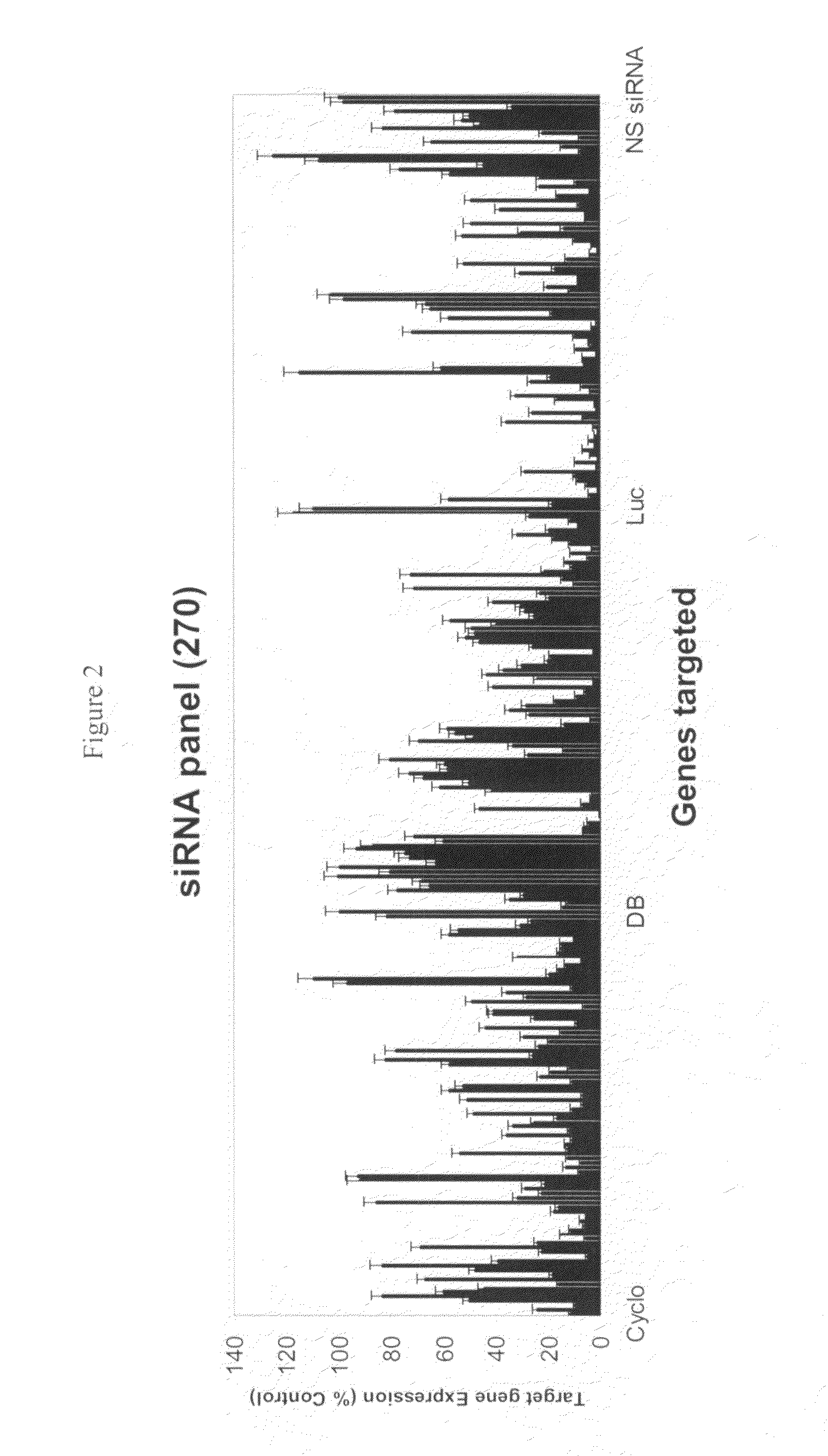 siRNA targeting ribonucleotide reductase M2 polypeptide (RRM2 or RNR-R2)