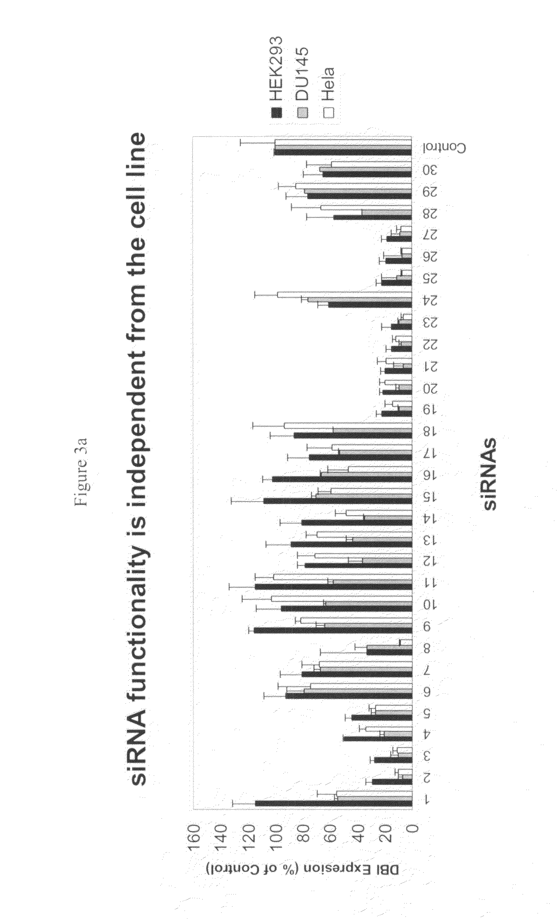 siRNA targeting ribonucleotide reductase M2 polypeptide (RRM2 or RNR-R2)