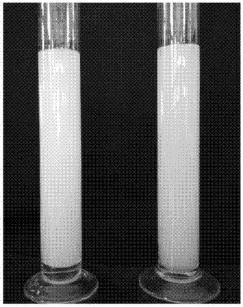 Cyhalofop-butyl emulsion in water and preparation method thereof