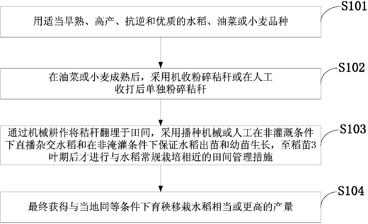 Hybrid rice water saving direct sowing cultivation method based on smashing, burying and retuning to field of preceding crop straw