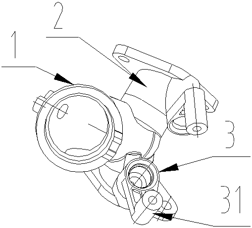 Intake pipe of a v-twin engine for a motorcycle