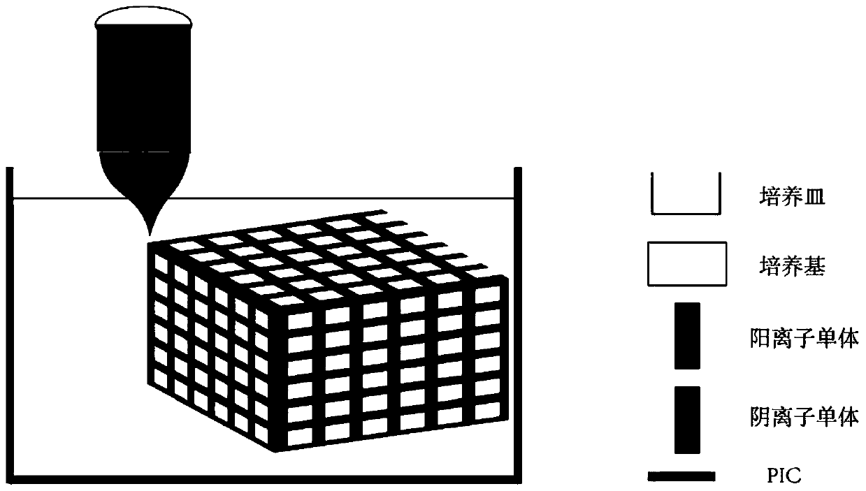 Tissue engineering bone based on multi-layer cell grid and preparation method for tissue engineering bone