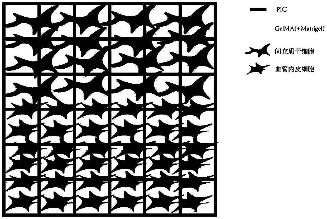 Tissue engineering bone based on multi-layer cell grid and preparation method for tissue engineering bone