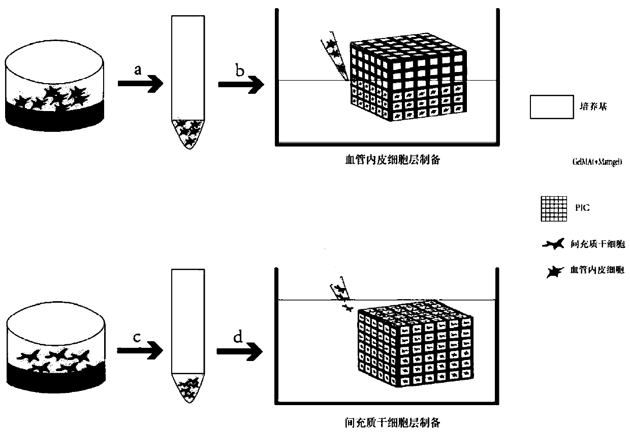 Tissue engineering bone based on multi-layer cell grid and preparation method for tissue engineering bone