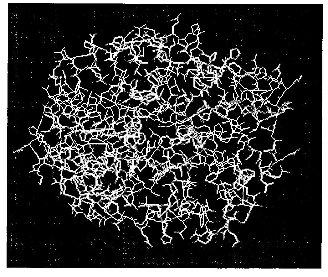 Cellulose orthogenesis method of ampullaria crossean