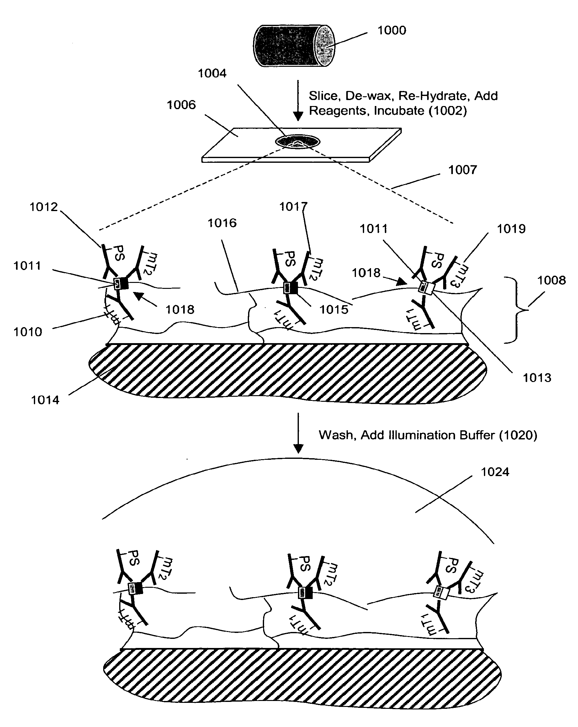 Surface Receptor Complexes as Biomarkers