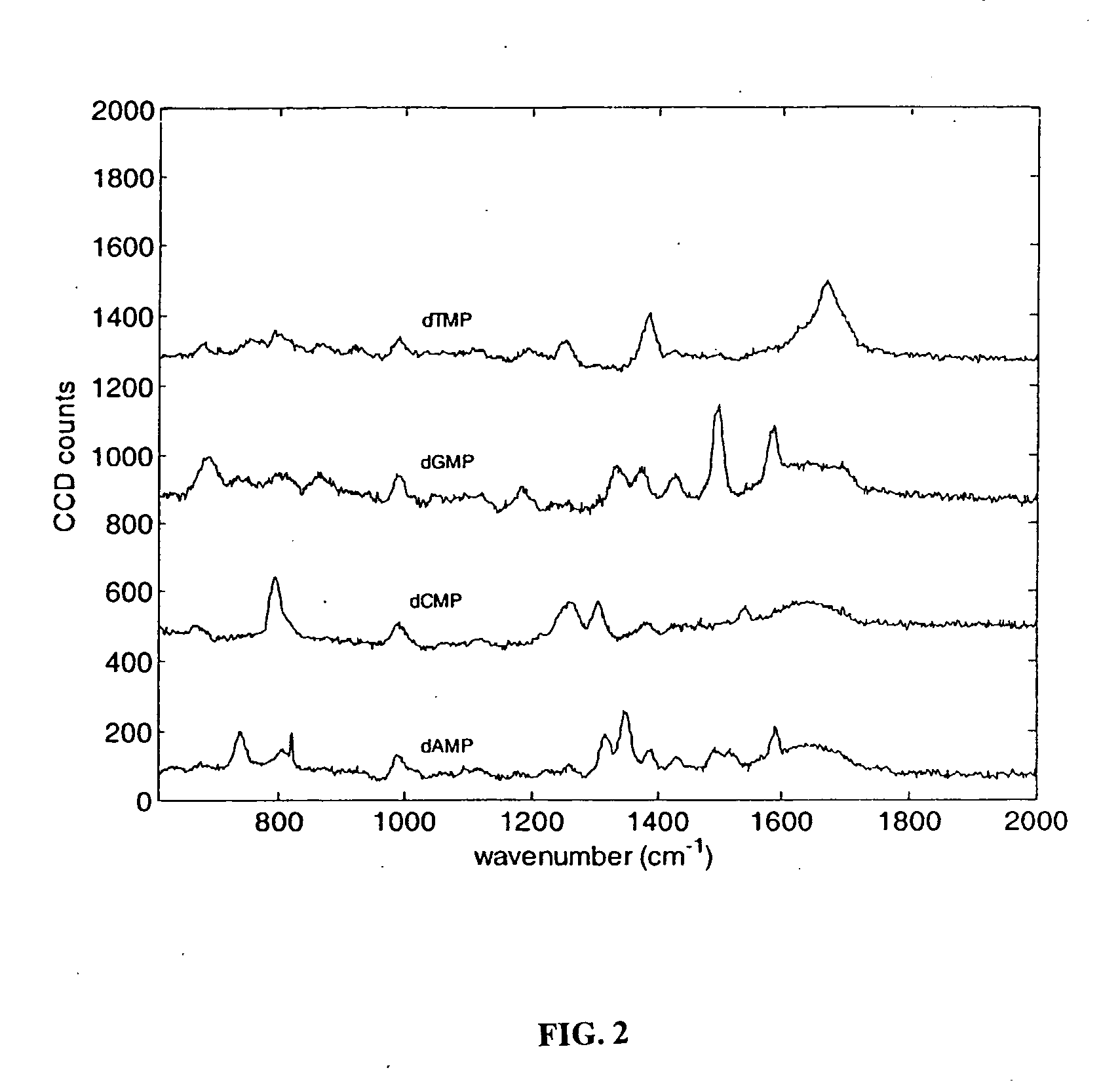 Nucleic acid sequencing by Raman monitoring of uptake of nucleotides during molecular replication