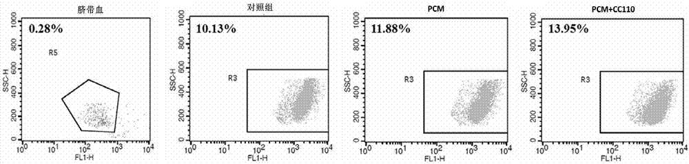 Method of amplifying hematopoietic stem cells of umbilical cord blood in vitro