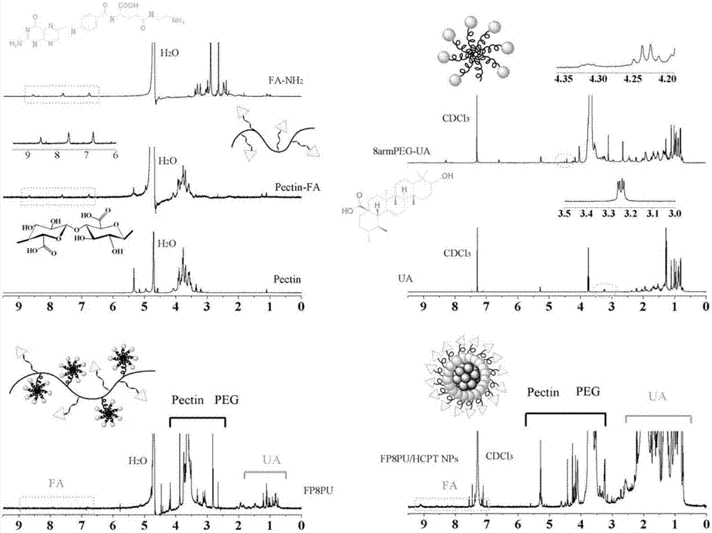 Dual-targeting delivery method of pectin nanoparticles modified by folic acid